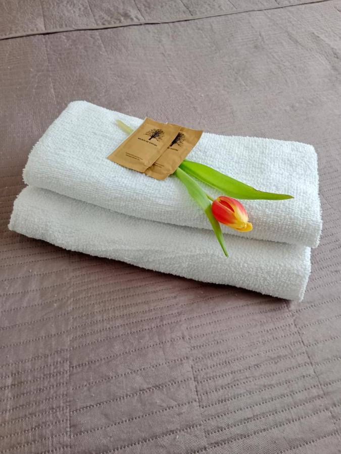 Apartament Glamour Chełm Exteriér fotografie